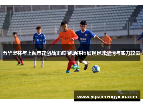 五华奥林与上海申花激战正酣 赛场拼搏展现足球激情与实力较量