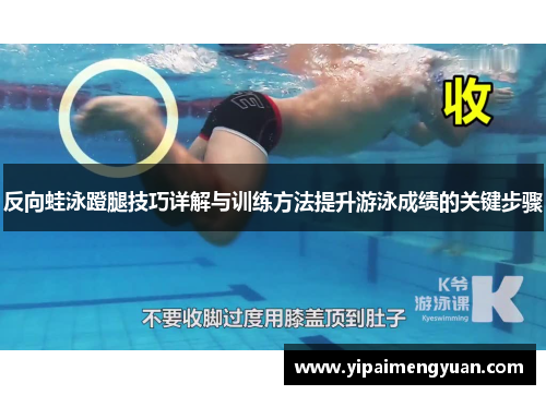 反向蛙泳蹬腿技巧详解与训练方法提升游泳成绩的关键步骤