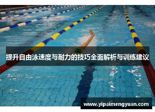 提升自由泳速度与耐力的技巧全面解析与训练建议