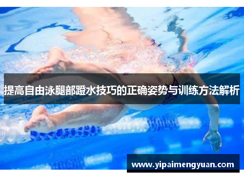 提高自由泳腿部蹬水技巧的正确姿势与训练方法解析