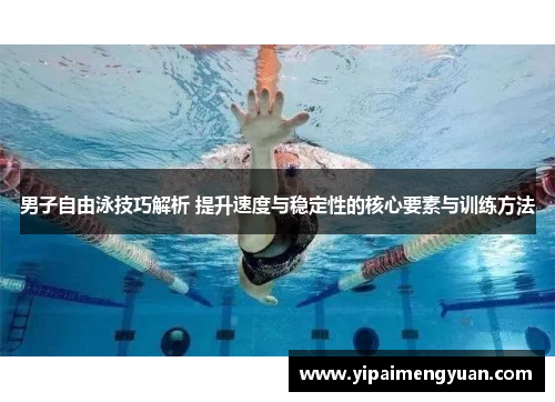 男子自由泳技巧解析 提升速度与稳定性的核心要素与训练方法