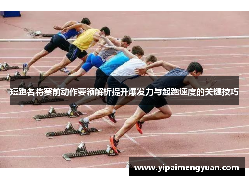 短跑名将赛前动作要领解析提升爆发力与起跑速度的关键技巧