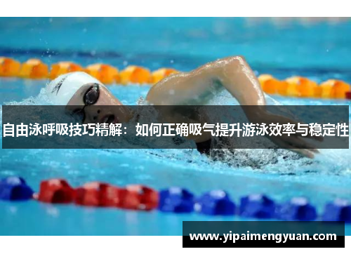 自由泳呼吸技巧精解：如何正确吸气提升游泳效率与稳定性